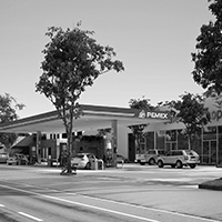 Portfolio Image 10